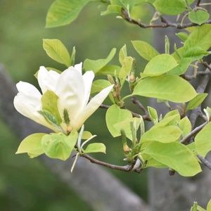 Meet your Posher, Tricia